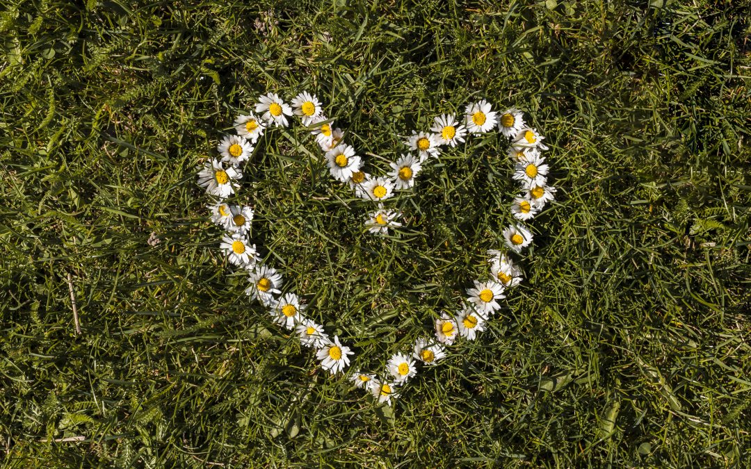L&rsquo;amour