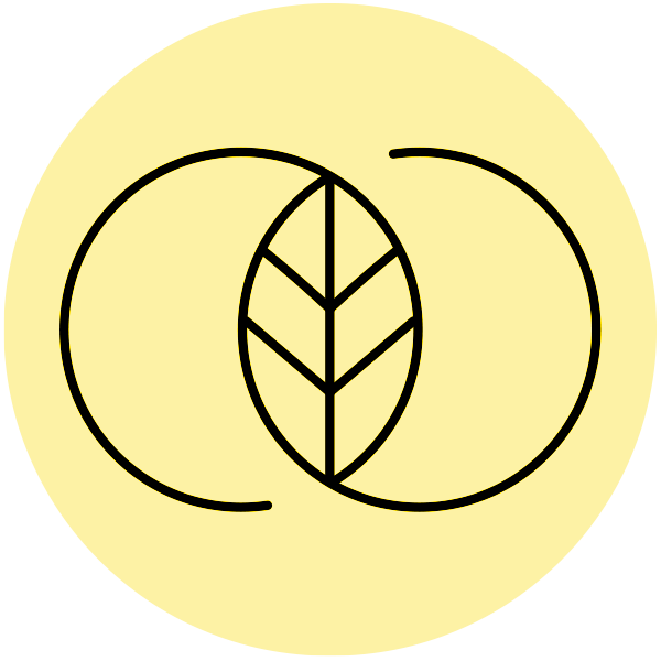 Accueil - kinésiologue certifié