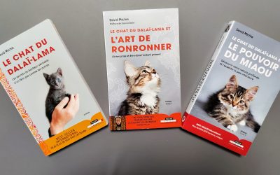 Médiathèque - Maïka Filsack : Kinésiologue en Essonne 91 Une série riche en enseignement