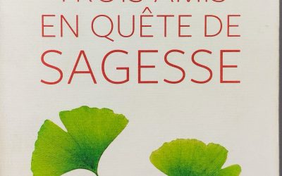 Médiathèque - Maïka Filsack : Kinésiologue en Essonne 91 Cheminer ensemble