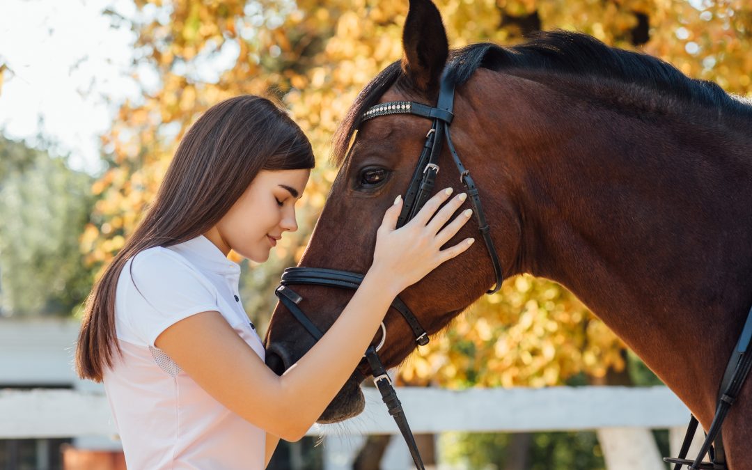 HORSE VIBES